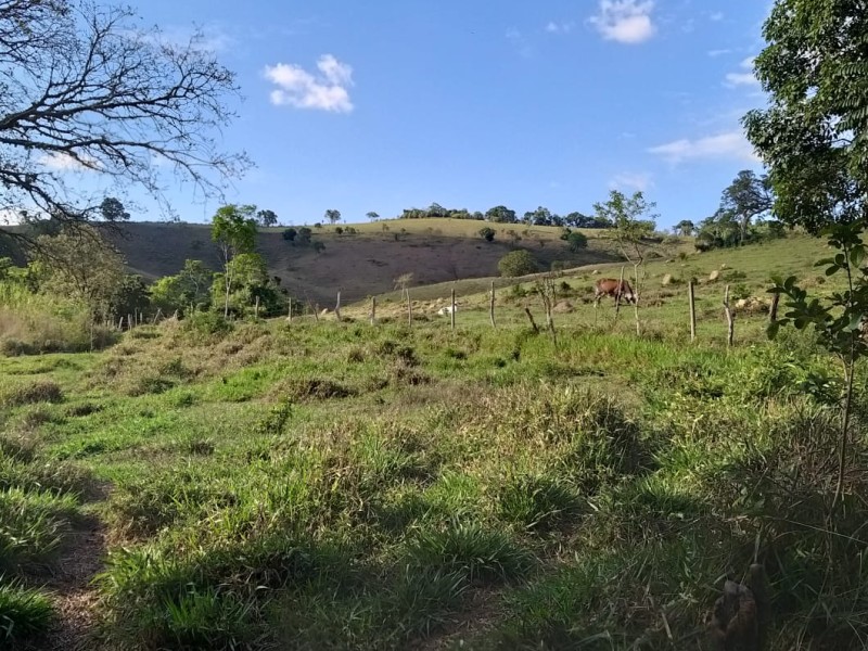 FAZENDA EM RIO MANSO/MG